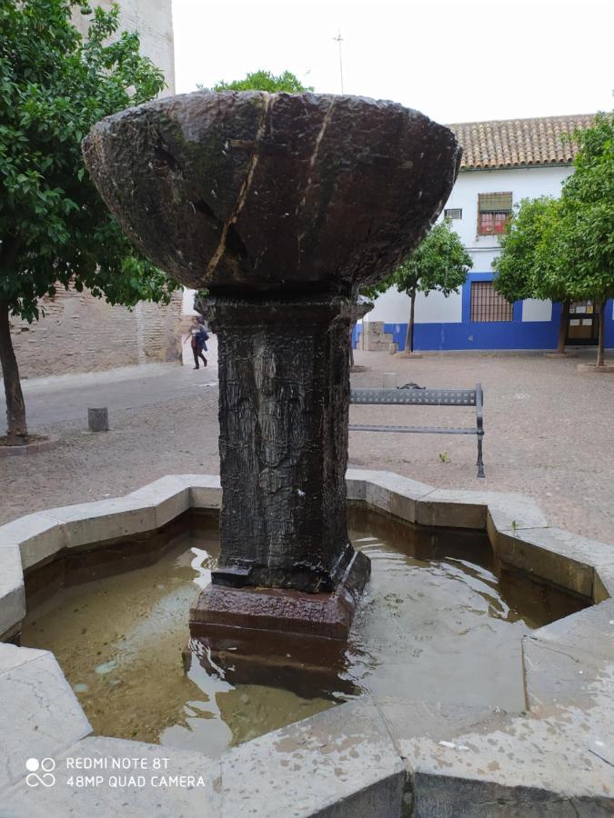 Alojamiento Casa Tipica De Кордова Экстерьер фото