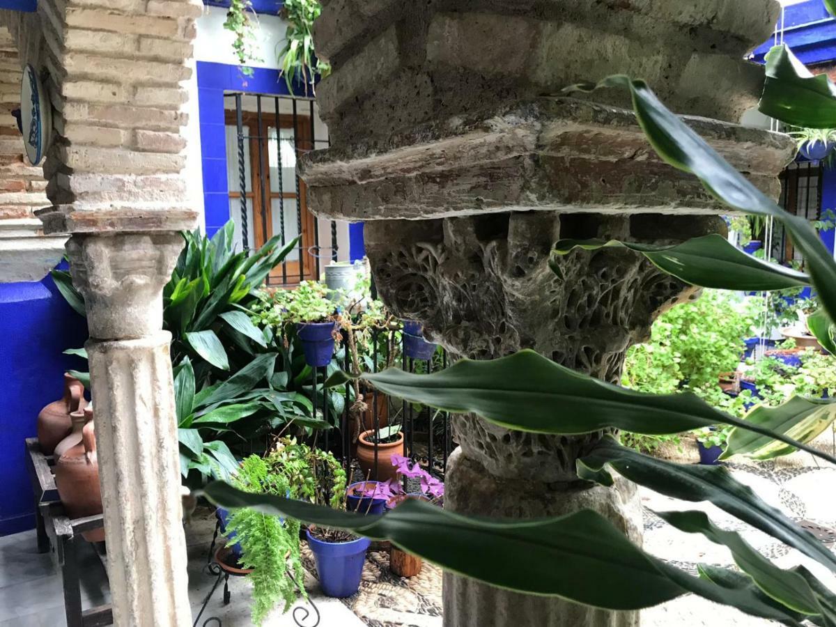 Alojamiento Casa Tipica De Кордова Экстерьер фото